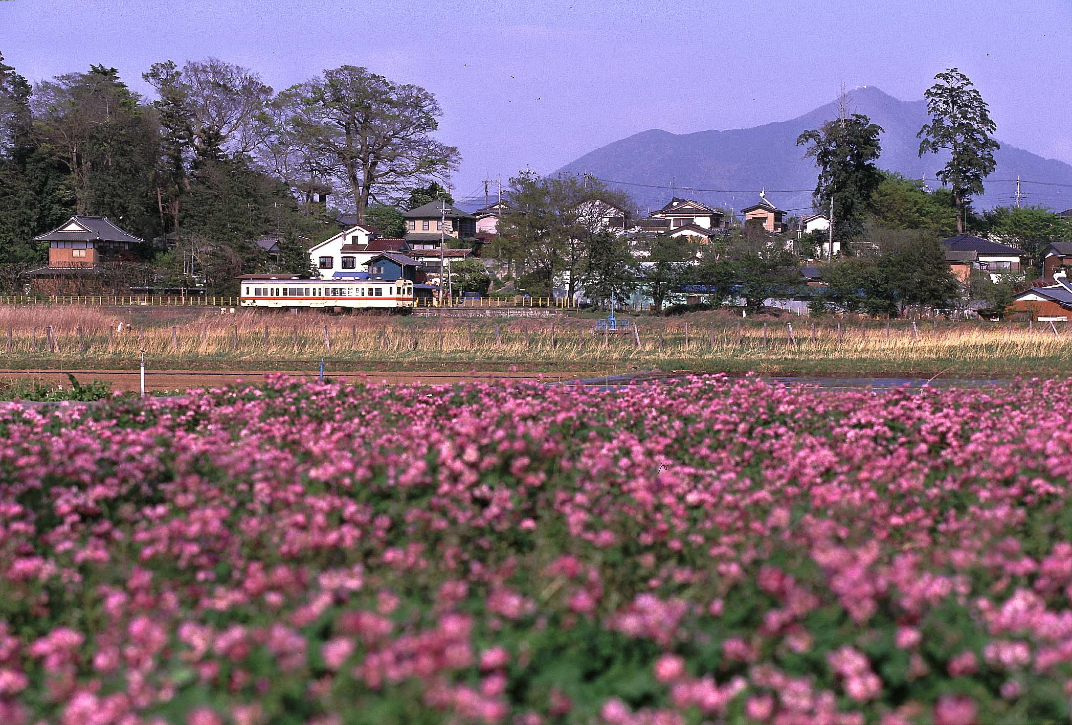 ちょっとだけ古い鉄道情景